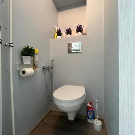 Korter Uembritsetud Metsaga Apartman Varska