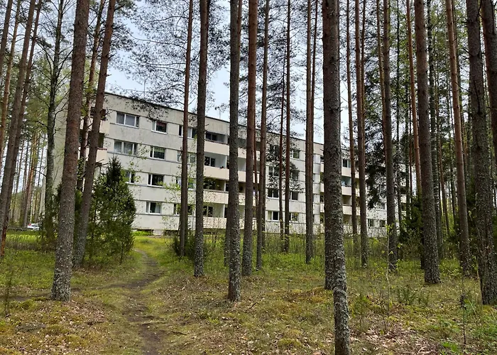 Korter Uembritsetud Metsaga Apartament *