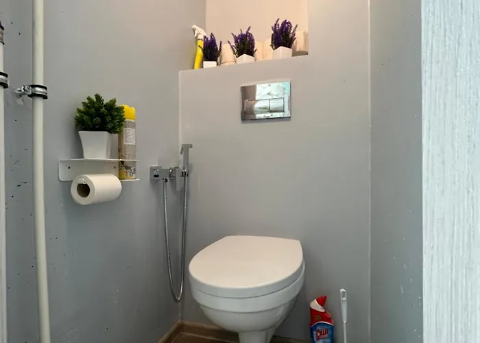 Korter Uembritsetud Metsaga Apartament Värska