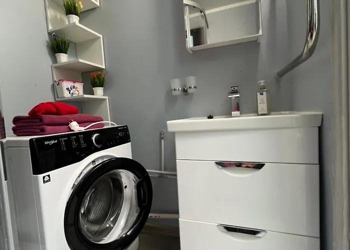 Korter Uembritsetud Metsaga Värska