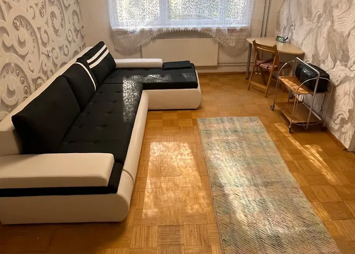 Korter Uembritsetud Metsaga